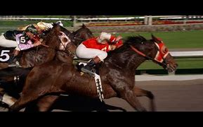 Image result for Seabiscuit Film