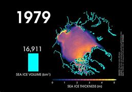 Image result for Arctic Ice Chest Coolers