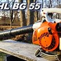 Image result for Stihl Battery Powered Leaf Blower Vacuum