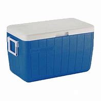 Image result for Cooler with Ice