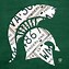 Image result for Michigan State Spartans