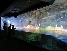 Image result for PPG Aquarium