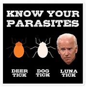 Image result for Dementia Joe Biden