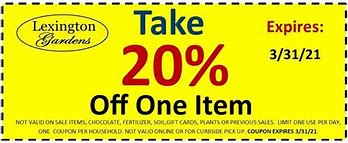 Image result for 20% Coupon