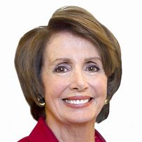Image result for Nancy Pelosi Orange