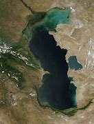 Image result for Caspian Sea Animals