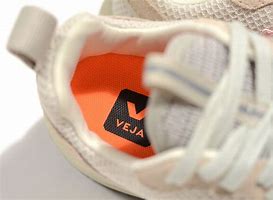 Image result for Veja Venturi Trainers