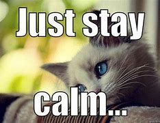 Image result for Remain Calm Funny