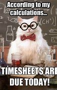 Image result for Timesheet Due Today Meme