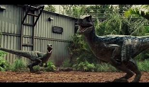 Image result for Owen Jurassic World Raptors