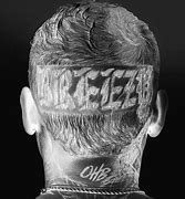 Image result for chris brown breezy songs