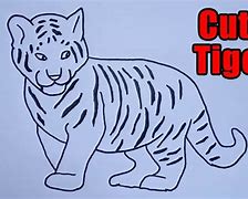 Image result for Cute Easy to Draw Tiger