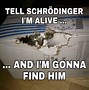 Image result for Cats Meme Didn't Laughing
