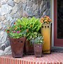 Image result for Outdoor Rustic Metal Planters