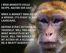 Image result for Monkey Quotes
