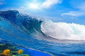 Image result for sea 