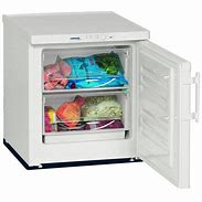 Image result for Small Freezer for Business