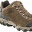 Image result for Men's Oboz Bridger Low Hiking Shoes