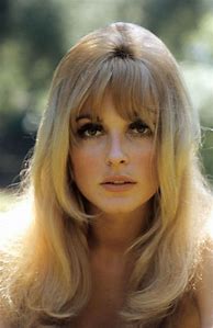 Image result for Bing Images Sharon Tate