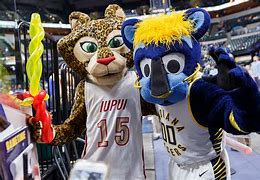 Image result for Pacers Mascot Young Fan