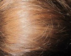 Image result for Nancy Pelosi Hair Dye