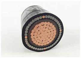 Image result for Single Core Armoured Cable