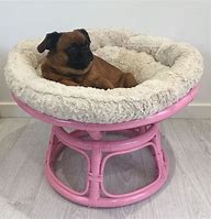 Image result for Small Papasan Chair