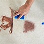 Image result for Pet Stain Removal From Carpet