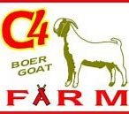 Image result for Portland goats loose in protest