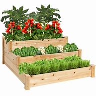 Image result for Wood Vegetable Planters