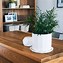 Image result for Industrial Style Desk Mid Century