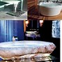Image result for Cool Bath