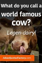 Image result for Funny Cow Jokes