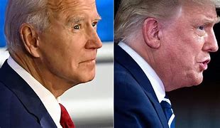 Image result for Biden vs Trump Covid 19