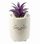 Image result for Violet in Cat Planter