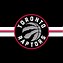 Image result for All Raptors Players