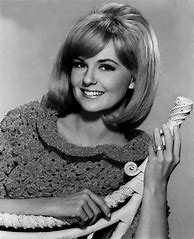 Image result for Shelley Fabares Actress