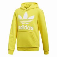 Image result for Adidas Sport Hoodie