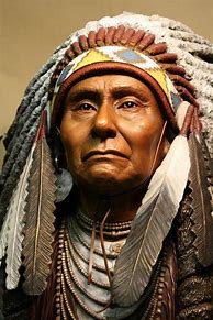 Image result for Blackfoot Indian Chiefs Earl Old Person