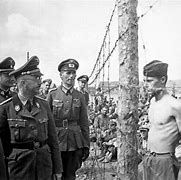 Image result for Heinrich Himmler Haircut