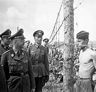 Image result for Heinrich Himmler Colorized
