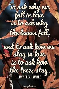 Image result for Cute Fall Love Quotes
