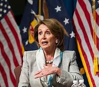 Image result for Nancy Pelosi Suit Pins