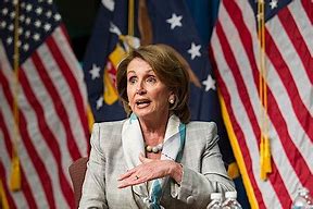 Image result for Nancy Pelosi Costume for Cats
