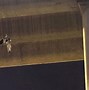 Image result for Mexico Bodies Hanging From Bridge