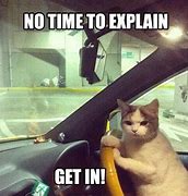 Image result for Driving Miss Daisy Cat Meme