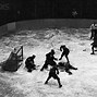 Image result for Bobby Hull Fights