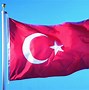 Image result for Turkiye Bayraklari