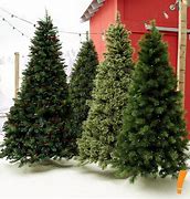 Image result for Big Lots Christmas Willow Trees