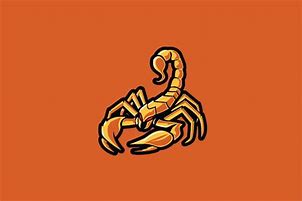 Image result for Scorpion Sports Logo